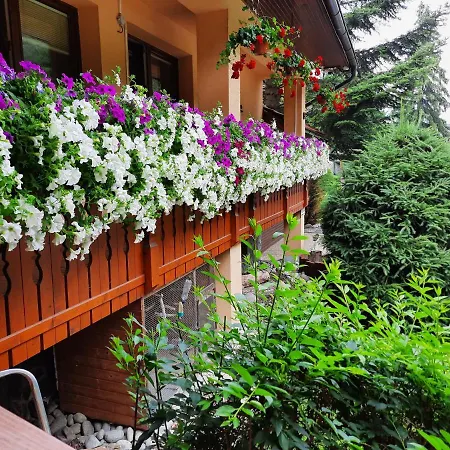 Apartmany Pacific Apartment Demanovska Dolina